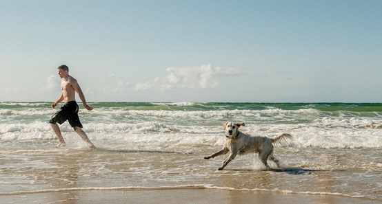 Gode forhold til hunden